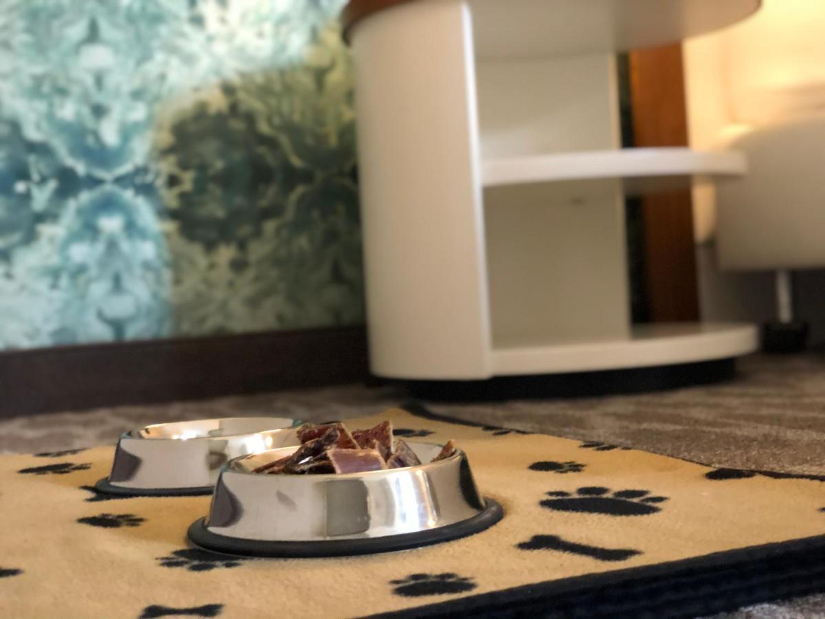 פטרספלד Hotel Heidegrund מראה חיצוני תמונה